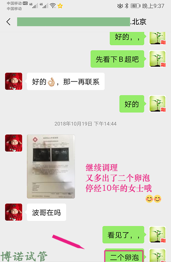 法国借卵公司.jpg