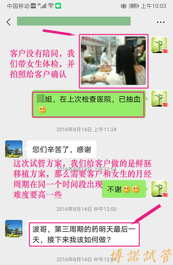 法国借卵公司.jpg