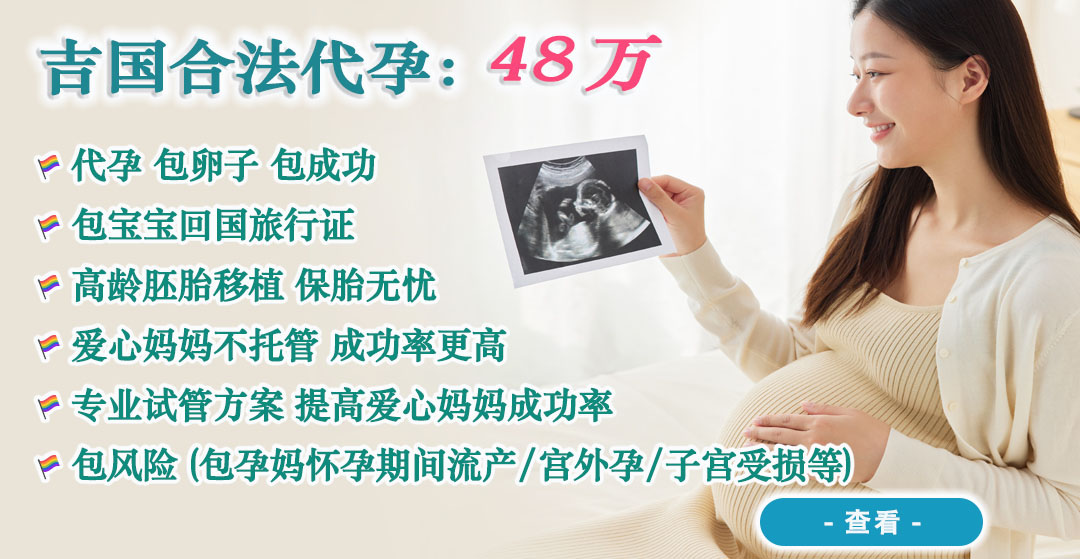法国代孕咨询.jpg